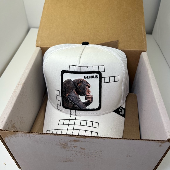 Goorin Bros Genius hat - Picture 5 of 7